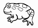Online coloring Pages Coloring Page Toad frog Download Print  sketch template