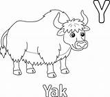 Alphabet Letter Y Yak Coloring sketch template