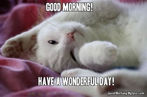 32 Good Morning Memes for Her, Him & Friends - Funny & Beautiful