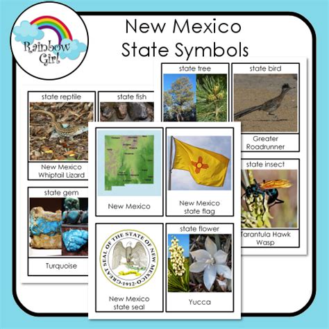 New Mexico State Symbols | State symbols, Vocabulary cards, New mexico ...