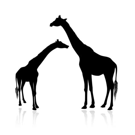 Animal Family of Giraffes — Stock Vector © vlado #23319232