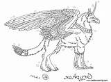 Griffin Coloring Pages Line Drawing  Free Printable sketch template