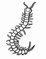 Bugs Coloring Pages Free Printable PDF sketch template