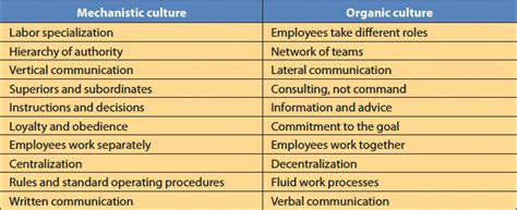 😂 Mechanistic structure example. What Is a Mechanistic Organization?. 2019-02-06