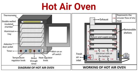 Hot Air Oven: Principle, Parts, Types, Uses, Examples