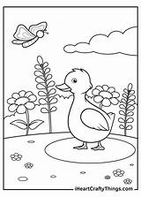 Free Printable Duck Coloring Pages sketch template