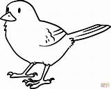 Cute Bird coloring Page  Free Printable Coloring Pages sketch template