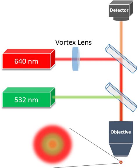 Vortex plate application case study - STED Microscopy - Holo Or