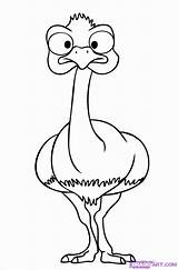 Ostrich Coloring Page  Home sketch template