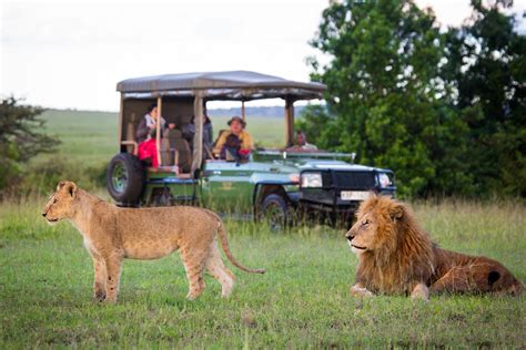 Top 7 five safari activities on a Kenya safari | Kenya Safari Activities