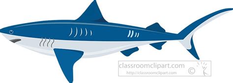 Shark Clipart Clipart - vector-illustration-of-bull-shark-clipart - Classroom Clipart