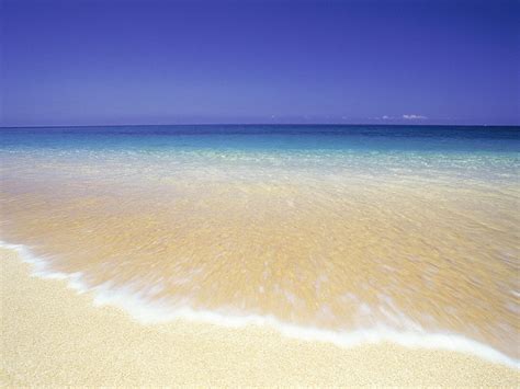 Beach Shore wallpaper | 1024x768 | #3948