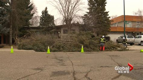 Ferocious winds hit southern Alberta, leading to hundreds of power outages in Lethbridge ...