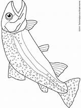 Mike Trout Coloring Pages Coloring Pages sketch template
