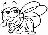 Fly Coloring Page Sketch sketch template