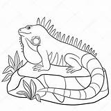 Iguana coloring Pages To Download And print For free sketch template