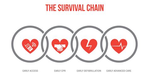 Chain Of Survival Steps Australia - ScienceHUB