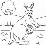 Kangaroo Coloring Page – Coloringbookpics sketch template
