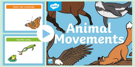 Animal Movements PowerPoint (teacher made) - Twinkl