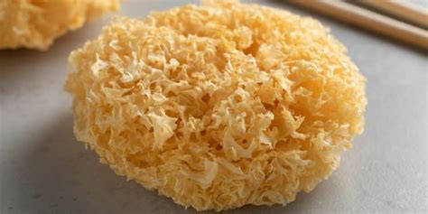 Tremella Mushroom Benefits | A Guide to Side Effects, and More