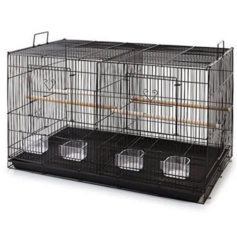 Lovebird Breeding Cage, Size/Dimension: 60 x 41x 41 cms at Rs 1200/piece in Chennai