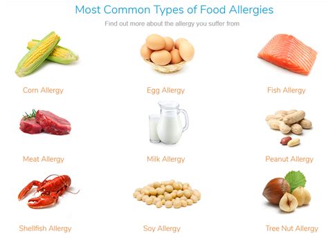What is a Food Allergy? – Types, Causes, Symptoms & Treatments