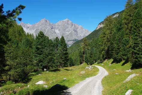 Narrow Mountain Road, Forest and Alps Near S-Charl Stock Image - Image of rock, tree: 24712165