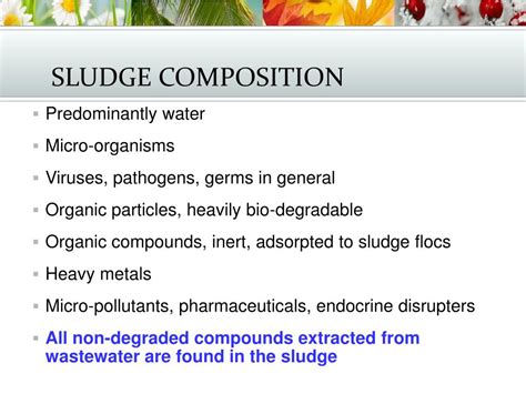 PPT - SOLID/ SLUDGE MANAGEMENT PowerPoint Presentation, free download - ID:2133369