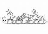 Coloring Millipede Stock Illustrations – 73  sketch template