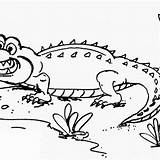 Stunning Crocodile Cartoon Coloring Page  Mitraland sketch template
