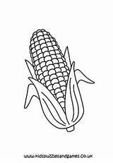 Corn On The Cob Coloring Page sketch template
