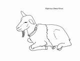Nigerian Dwarf Goat Coloring Page By Mama Draw It  TPT sketch template