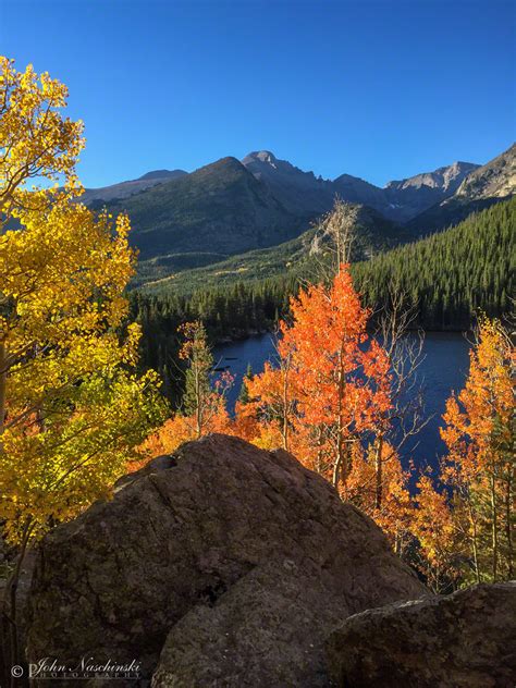 Rocky Mountain National Park Fall Colors