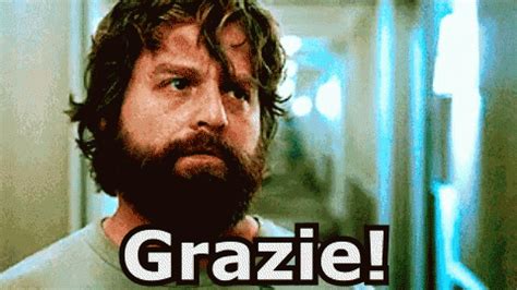 Notte Da Leoni Grazie Alan Garner GIF - TheHangover ThankYou AlanGarner - Discover & Share GIFs