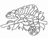 Rainforest Animals Coloring Pages Free  Home sketch template