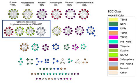 BiG-SCAPE GCF network analysis of 10 Streptomyces within the S ...