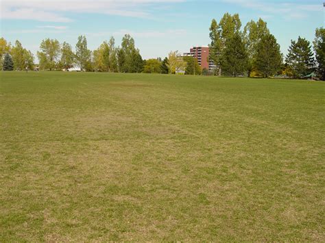 CU Outdoor Services: FieldTurf Installation