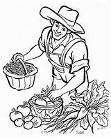 Fall Harvest Coloring Pages sketch template