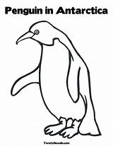 Antarctica Flat Map Page Coloring Pages sketch template