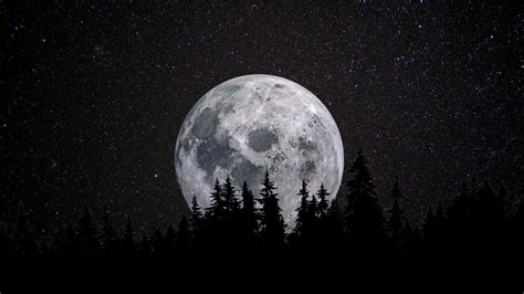 Nature Full moon Wallpaper - KDE Store