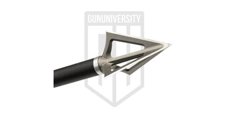 5 Best Fixed Blade Broadheads 2024: Find the Right One For You!