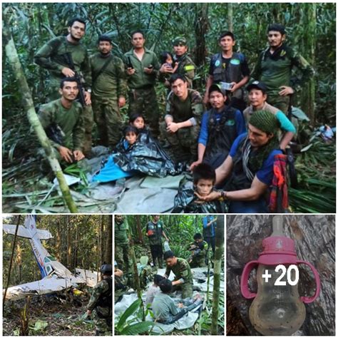 Four children missing for six weeks after their plane crashed in the Amazon jungle are 'FOUND ...