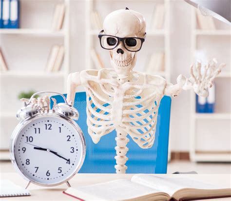 Skeleton Businessman Working in the Office Stock Image - Image of ...