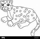 Cute Jaguar Coloring Pages sketch template