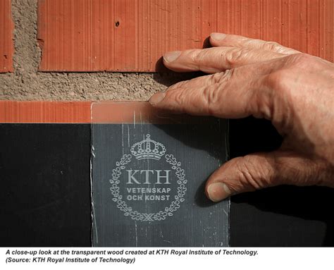Clear as Wood? Swedes Develop Transparent Wood Material for Solar Panels and Windows