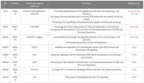 Frontiers | Regulation of inflammation and immunity in sepsis by E3 ligases