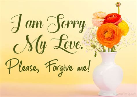 Best I'm Sorry Flowers : Flowers Say I M Sorry : I am sorry flower ...