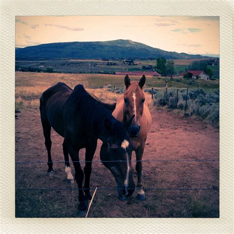 Photo Gallery - The Carbondale Rodeo - Globalphile