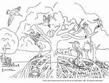 Ecosystem Coloring Pages At GetDrawings  Free Download sketch template