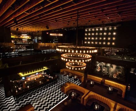 Best West Hollywood Clubs for a Night Out in Los Angeles | Zocha Group